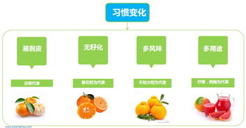 鑫荣懋 大型收购商对柑橘种植与商品果的要求